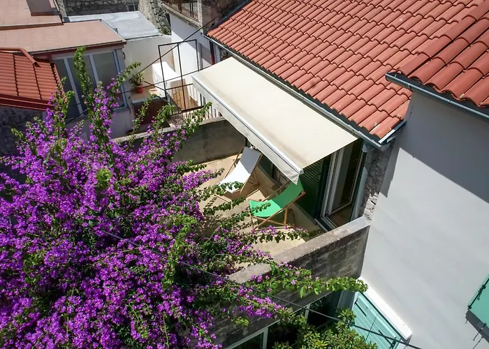 House Draza