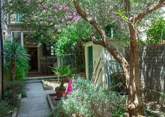 House Draza Vila