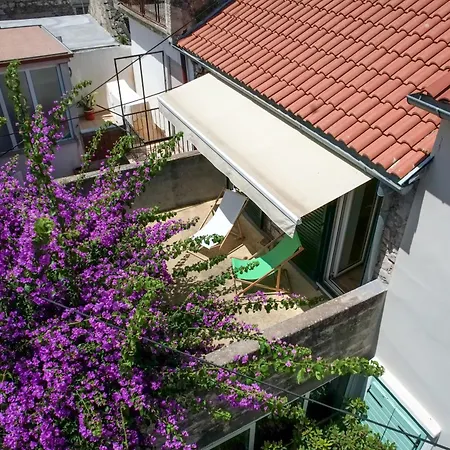 House Draza