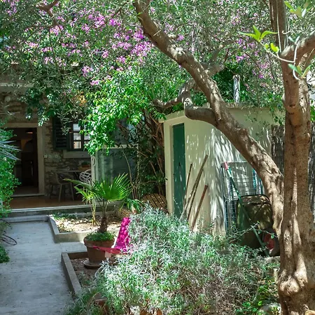 House Draza Villa