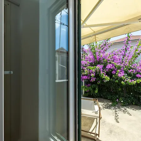 House Draza 别墅 *