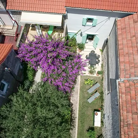 House Draza Villa