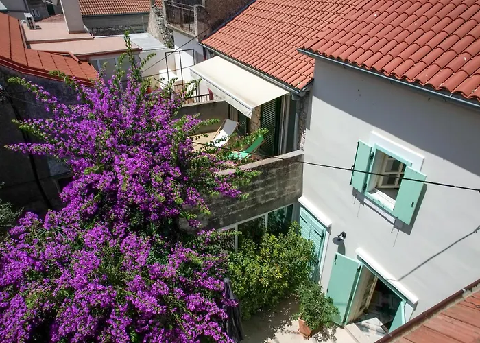 House Draza וילה