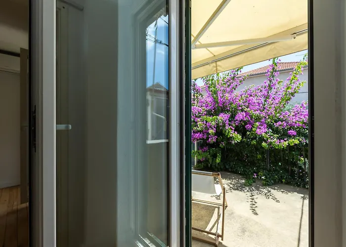 House Draza וילה *